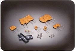 An Assortment of PTC Devices